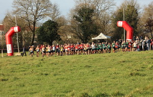 Résultats du championnat départemental de cross-country