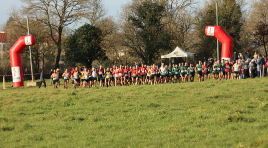 Résultats du championnat départemental de cross-country